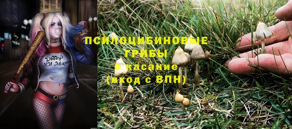 альфа пвп Михайловск