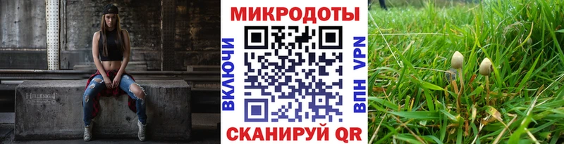 где купить наркоту  Сальск  Галлюциногенные грибы GOLDEN TEACHER 